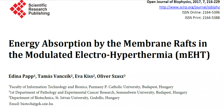 Energy Absorption by the Membrane Rafts in the Modulated Electro-Hyperthermia (mEHT)