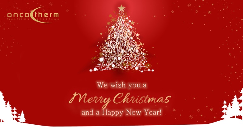 Wir wünschen Ihnen ein frohes Weihnachtsfest und ein gutes neues Jahr!